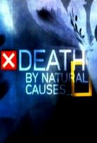  Смерть по естественным причинам - Смертельная Жара / Death by natural caus ...