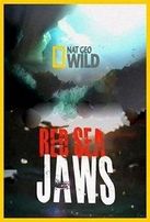  Челюсти Красного моря / Red Sea Jaws смотреть онлайн
